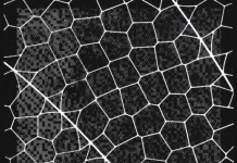 Unauthorized group has gained access to Anthropic’s exclusive cyber tool Mythos, report claims